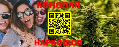 прущие грибы Берёзовский