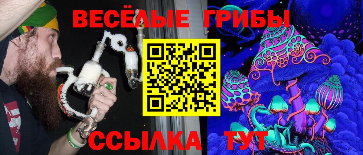купить наркотики цена  Вход с VPN  Аргун  Псилоцибиновые грибы Cubensis 