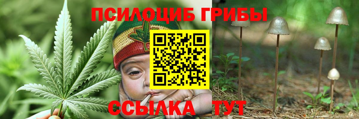 Галлюциногенные грибы Magic Shrooms Аргун