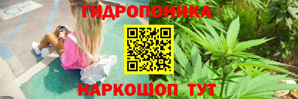 Бошки марихуана планчик Аргун